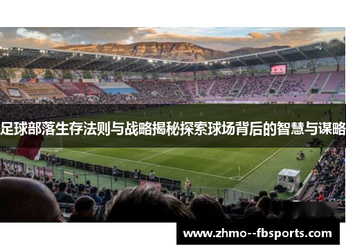 足球部落生存法则与战略揭秘探索球场背后的智慧与谋略