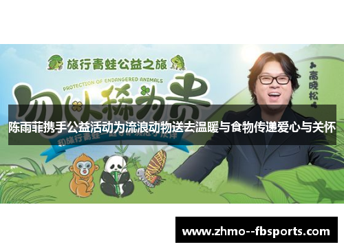 陈雨菲携手公益活动为流浪动物送去温暖与食物传递爱心与关怀